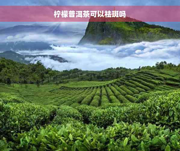 柠檬普洱茶可以祛斑吗