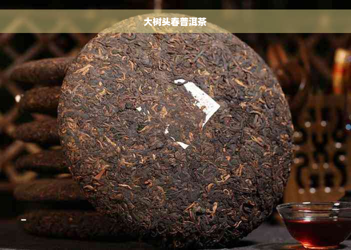 大树头春普洱茶