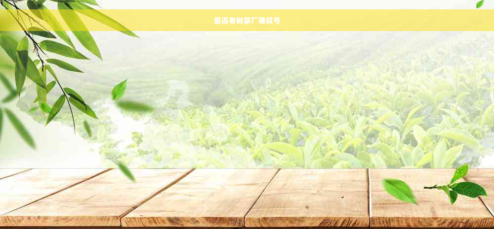 景迈老树茶厂雅权号