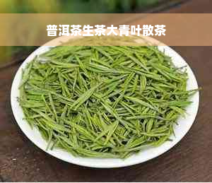 普洱茶生茶大青叶散茶