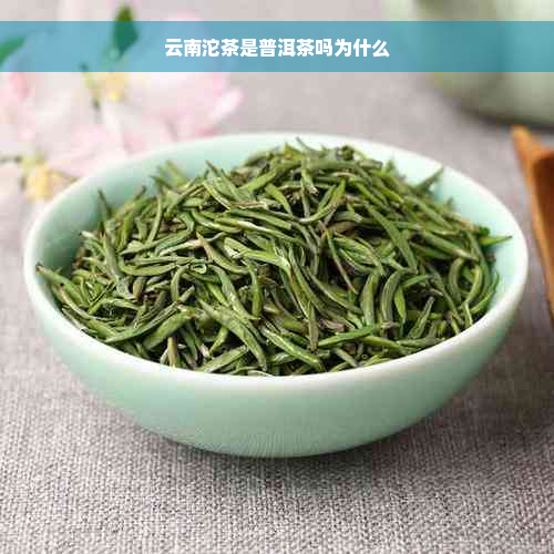 云南沱茶是普洱茶吗为什么