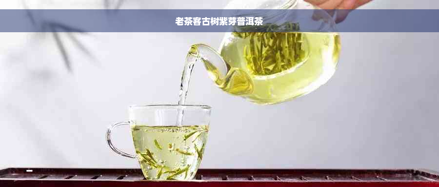 老茶客古树紫芽普洱茶