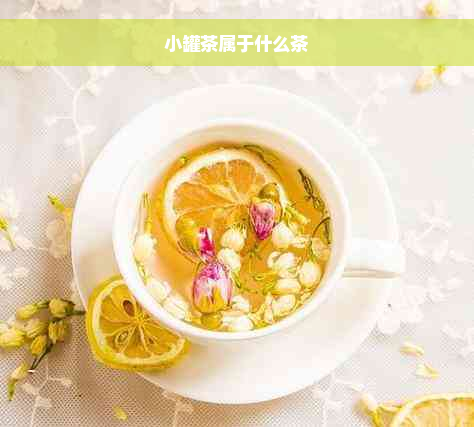 小罐茶属于什么茶