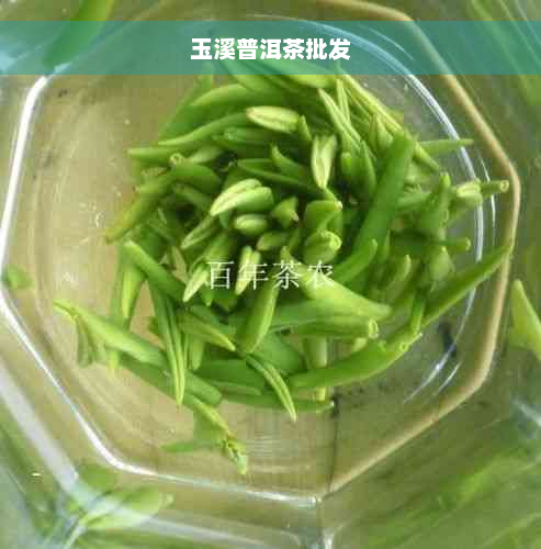 玉溪普洱茶批发