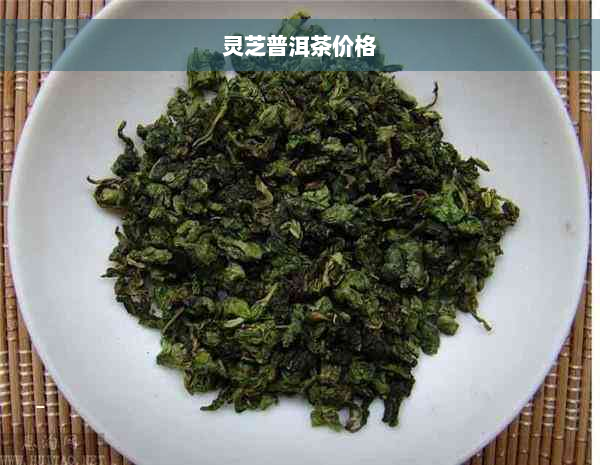 灵芝普洱茶价格