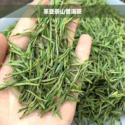 革登茶山普洱茶