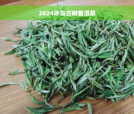 2024冰岛古树普洱茶