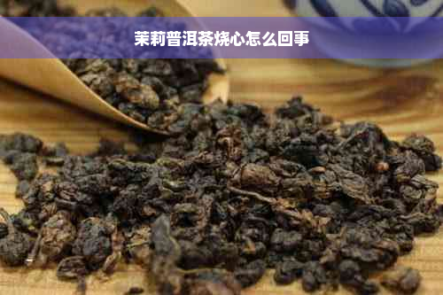 茉莉普洱茶烧心怎么回事