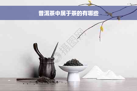 普洱茶中属于茶的有哪些