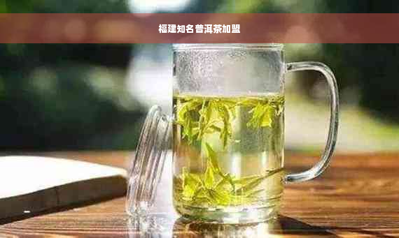 福建知名普洱茶加盟