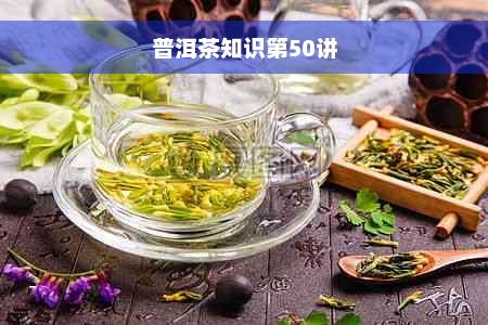 普洱茶知识第50讲