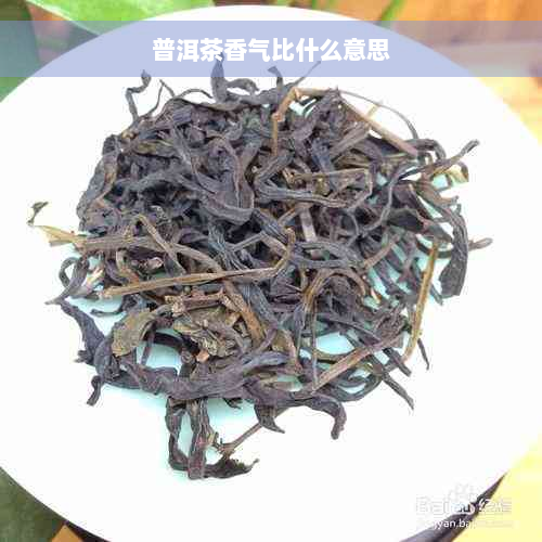 普洱茶香气比什么意思