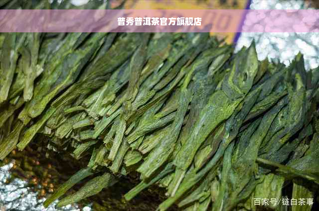 普秀普洱茶官方旗舰店