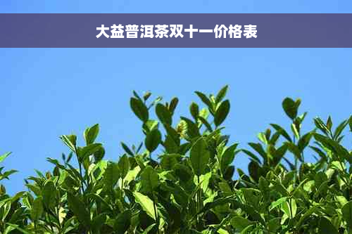 大益普洱茶双十一价格表