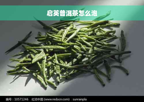 启英普洱茶怎么泡