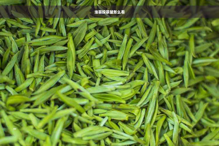 泡茶投茶量怎么看