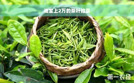 淘宝上2万的茶叶拍卖