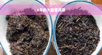 8年的大益普洱茶