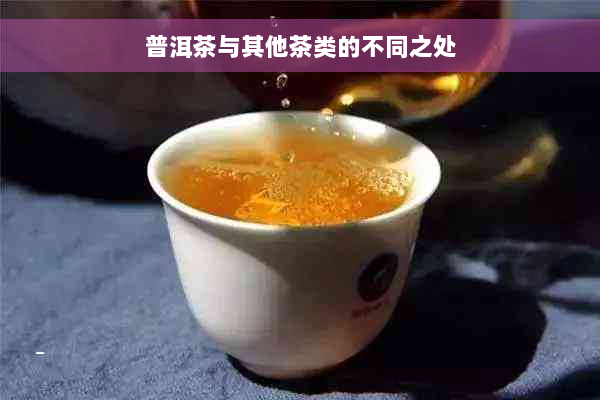 普洱茶与其他茶类的不同之处