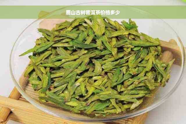 鹿山古树普洱茶价格多少