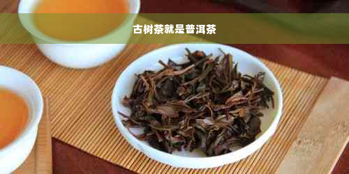 古树茶就是普洱茶