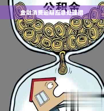 金融消费逾期应急处理措