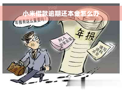 小米借款逾期还本金怎么办