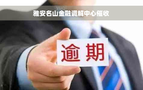 雅安名山金融调解中心催收