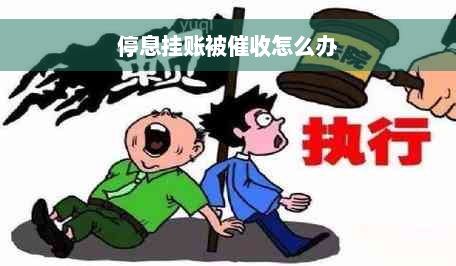 停息挂账被催收怎么办