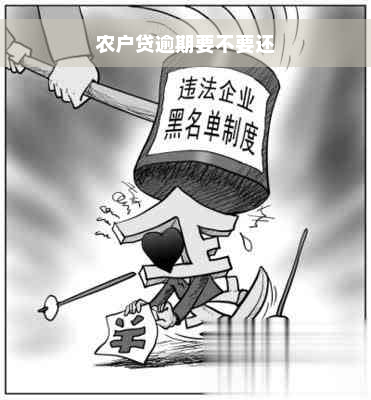 农户贷逾期要不要还