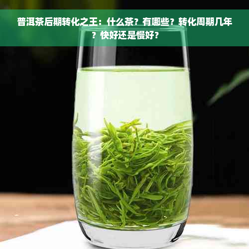 普洱茶后期转化之王：什么茶？有哪些？转化周期几年？快好还是慢好？