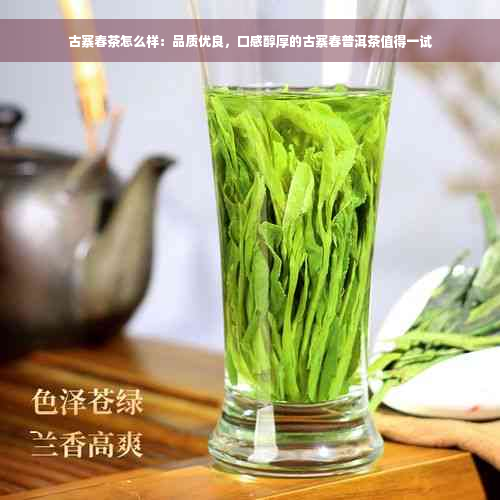 古寨春茶怎么样：品质优良，口感醇厚的古寨春普洱茶值得一试