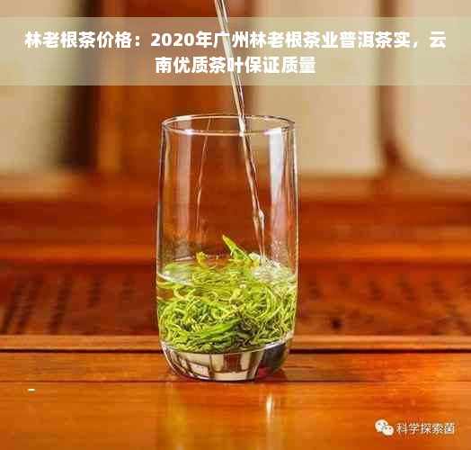 林老根茶价格：2020年广州林老根茶业普洱茶实，云南优质茶叶保证质量