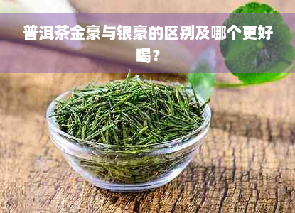 普洱茶金豪与银豪的区别及哪个更好喝？