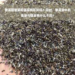 普洱茶金豪和银豪有区别吗？同时，普洱茶中的金豪与银豪有什么不同？