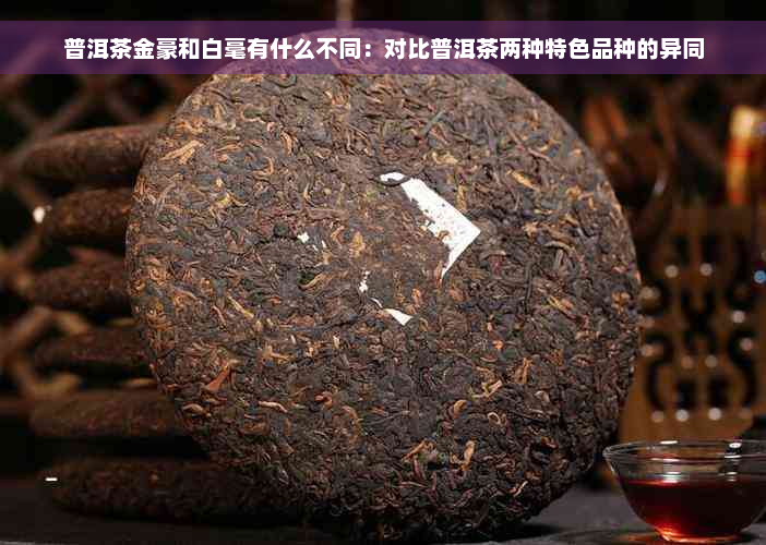 普洱茶金豪和白毫有什么不同：对比普洱茶两种特色品种的异同