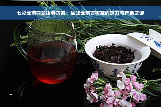 七彩云南白莺山春古茶：品味云南古树茶的魅力与产地之谜