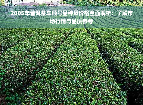 2005年普洱茶车顺号品种及价格全面解析：了解市场行情与品质参考