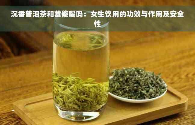 沉香普洱茶和葚能喝吗：女生饮用的功效与作用及安全性