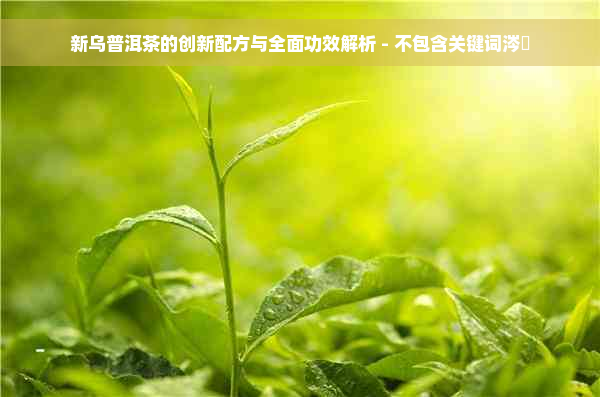 新乌普洱茶的创新配方与全面功效解析 - 不包含关键词涔屾