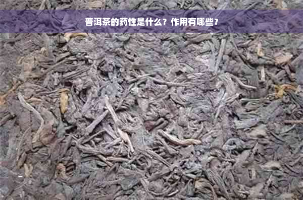 普洱茶的药性是什么？作用有哪些？