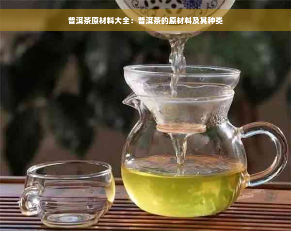 普洱茶原材料大全：普洱茶的原材料及其种类