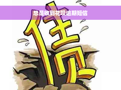 总是收到花呗逾期短信