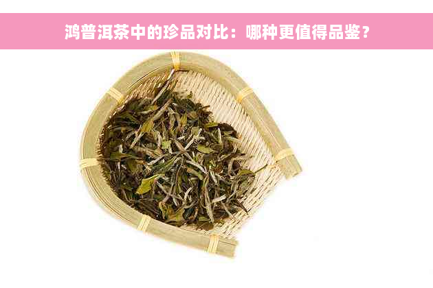 鸿普洱茶中的珍品对比：哪种更值得品鉴？