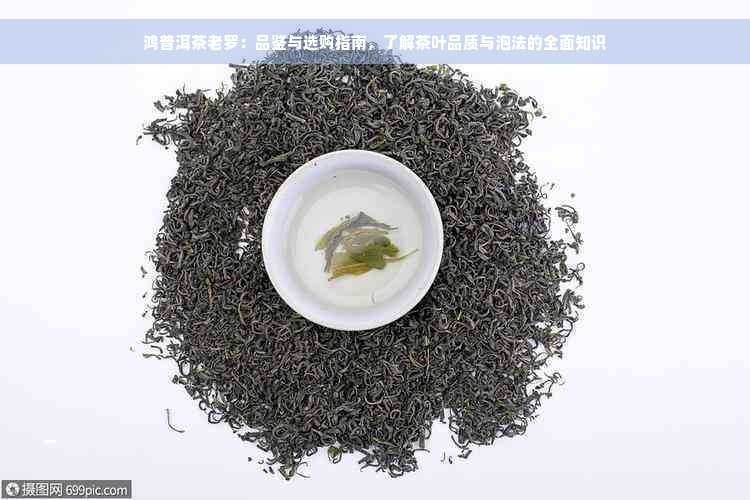 鸿普洱茶老罗：品鉴与选购指南，了解茶叶品质与泡法的全面知识