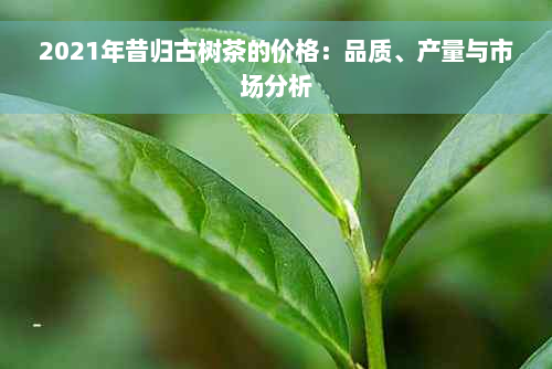 2021年昔归古树茶的价格：品质、产量与市场分析