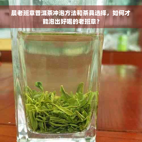 晨老班章普洱茶冲泡方法和茶具选择，如何才能泡出好喝的老班章？