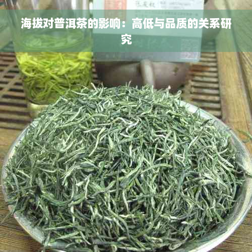 海拔对普洱茶的影响：高低与品质的关系研究