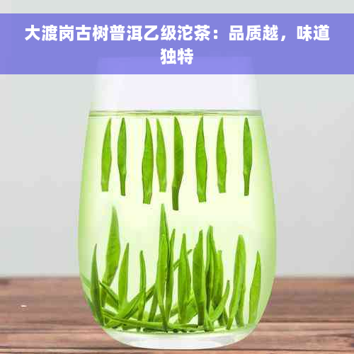 大渡岗古树普洱乙级沱茶：品质越，味道独特