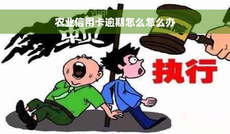 农业信用卡逾期怎么怎么办